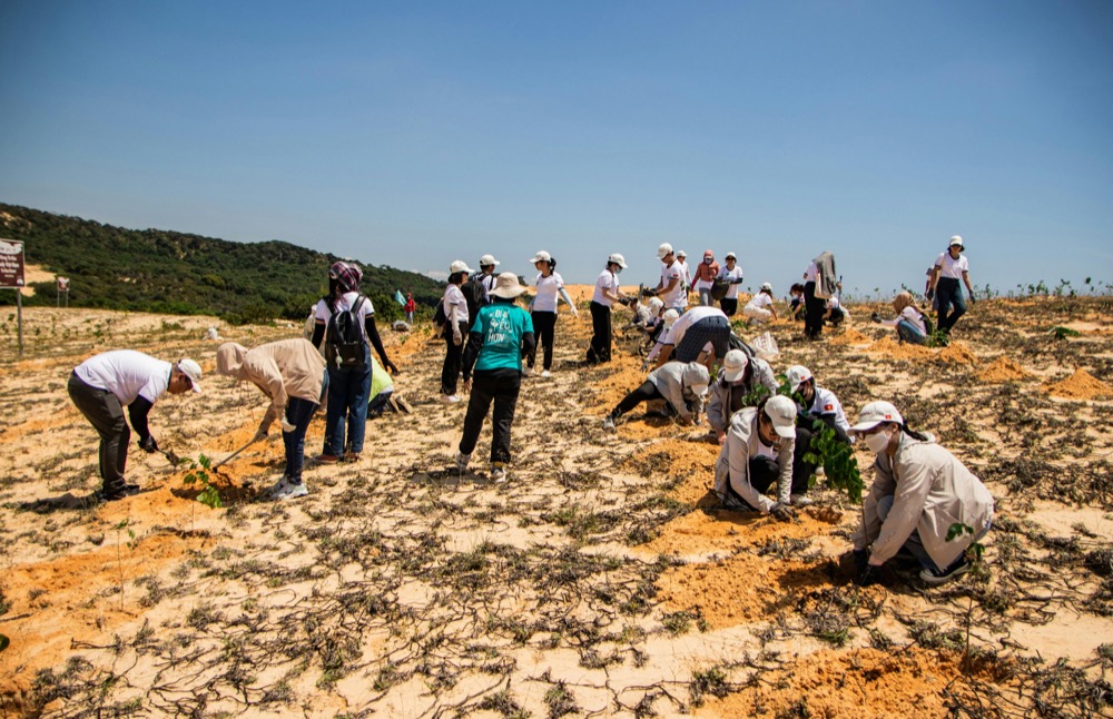 Tree-planting drive